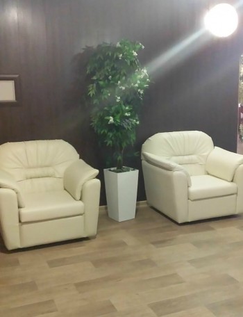 Кресло Премьер в Шарыпово - sharypovo.mebel54.com | фото