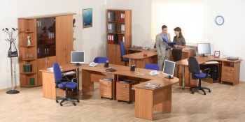 Мебель для персонала Альфа 61 Ольха в Шарыпово - sharypovo.mebel54.com | фото