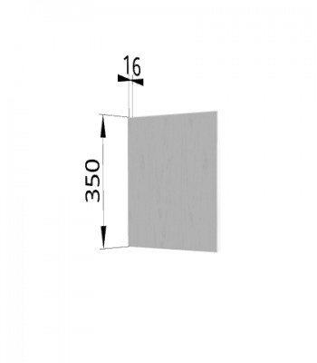 Панель торцевая (для шкафа горизонтального высотой 350 мм) ПГ Мелисса (Графит скин) в Шарыпово - sharypovo.mebel54.com | фото
