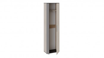 Шкаф для одежды «Нуар» тип 1 Фон серый/Дуб сонома в Шарыпово - sharypovo.mebel54.com | фото